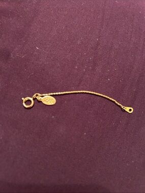 Vintage Joan Rivers 3”Bracelet Extension Chain